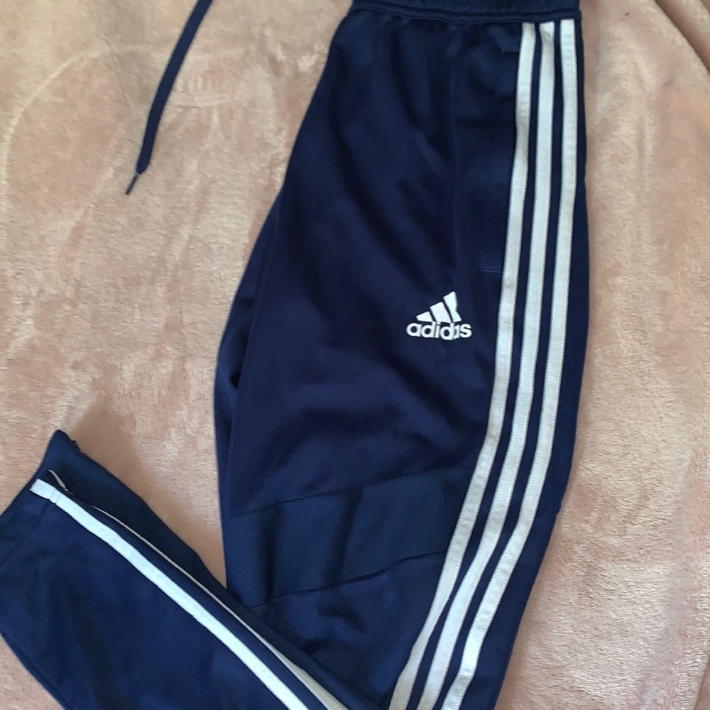 Climacool Adidas pants